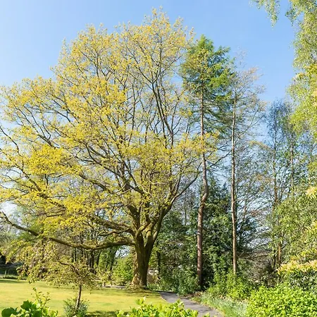 Manor Hotel Windermere